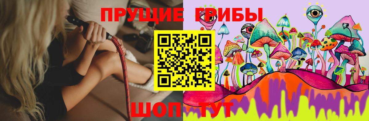 Галлюциногенные грибы Magic Shrooms  Вход с VPN  Знаменск  Псилоцибиновые грибы Cubensis 